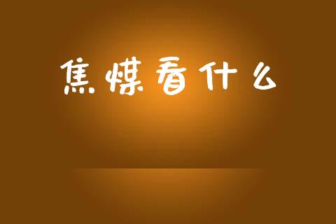 焦煤看什么_https://m.15771688.com_期货开户_第1张