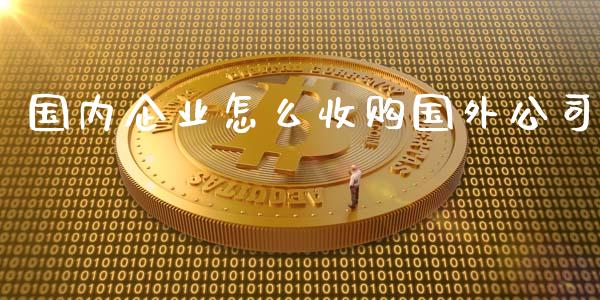 国内企业怎么收购国外公司_https://m.15771688.com_期货开户_第1张