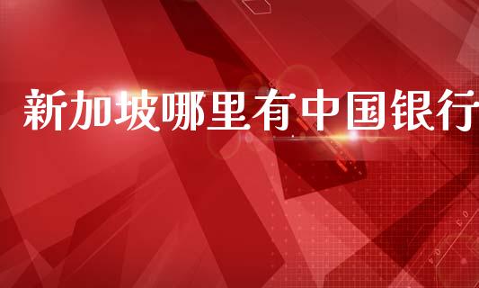 新加坡哪里有中国银行_https://m.15771688.com_期货开户_第1张
