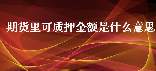 期货里可质押金额是什么意思_https://m.15771688.com_期货开户_第1张
