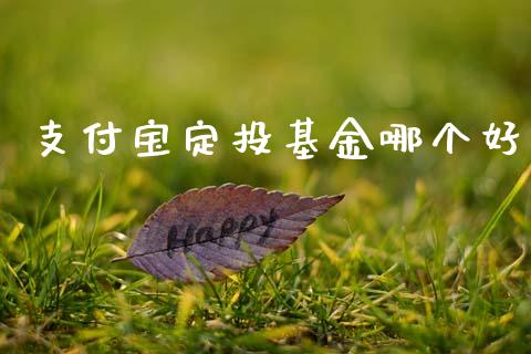 支付宝定投基金哪个好_https://m.15771688.com_道指实时行情_第1张