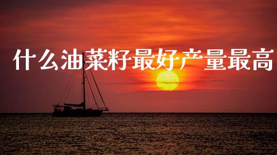 什么油菜籽最好产量最高_https://m.15771688.com_道指实时行情_第1张