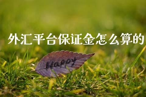 外汇平台保证金怎么算的_https://m.15771688.com_期货开户_第1张