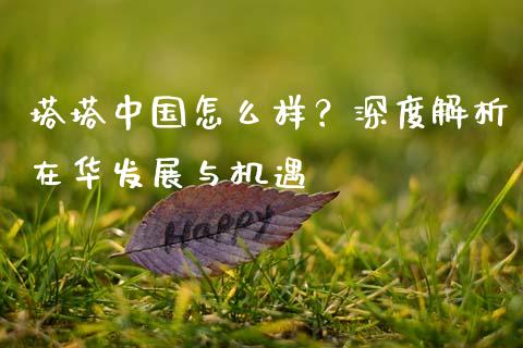 塔塔中国怎么样？深度解析在华发展与机遇_https://m.15771688.com_美国道指_第1张