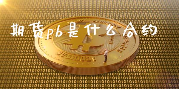 期货pb是什么合约_https://m.15771688.com_美国道指_第1张
