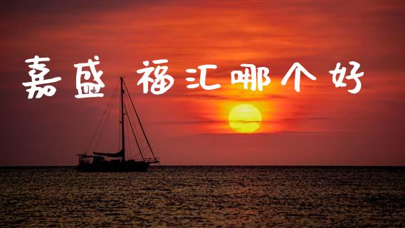 嘉盛 福汇哪个好_https://m.15771688.com_道指实时行情_第1张