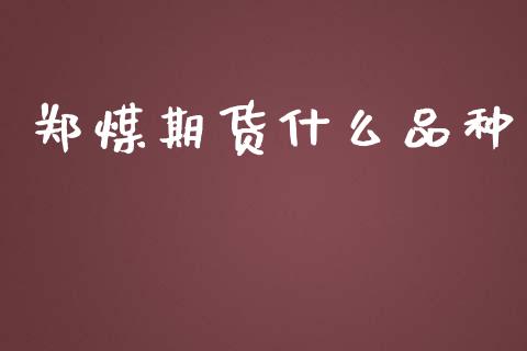 郑煤期货什么品种_https://m.15771688.com_道指实时行情_第1张