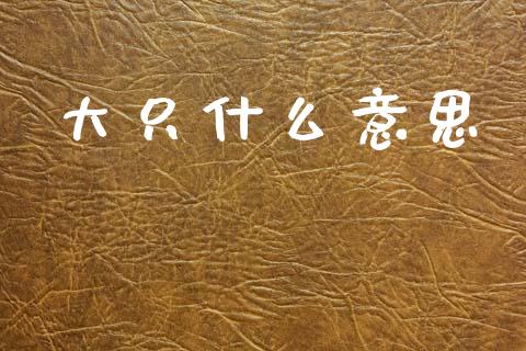 大只什么意思_https://m.15771688.com_期货手续费_第1张