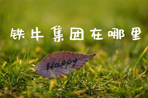 铁牛集团在哪里_https://m.15771688.com_道指实时行情_第1张
