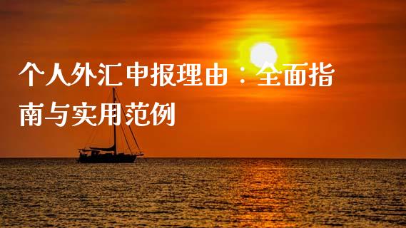 个人外汇申报理由：全面指南与实用范例_https://m.15771688.com_期货手续费_第1张