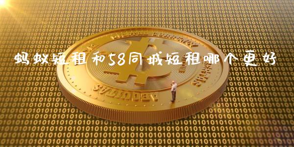 蚂蚁短租和58同城短租哪个更好_https://m.15771688.com_美国道指_第1张