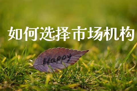 如何选择市场机构_https://m.15771688.com_美国道指_第1张