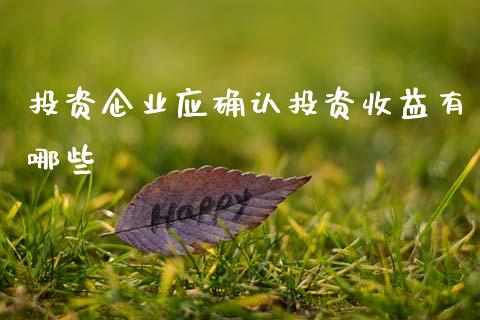 投资企业应确认投资收益有哪些_https://m.15771688.com_美国道指_第1张