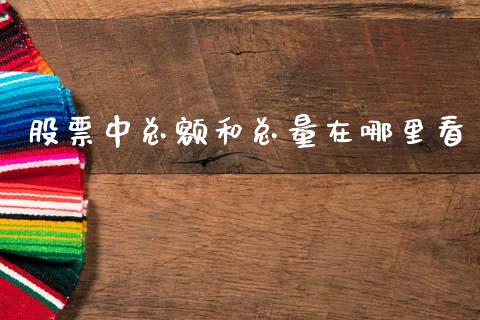 股票中总额和总量在哪里看_https://m.15771688.com_期货开户_第1张
