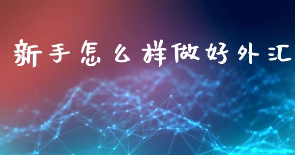 新手怎么样做好外汇_https://m.15771688.com_期货手续费_第1张