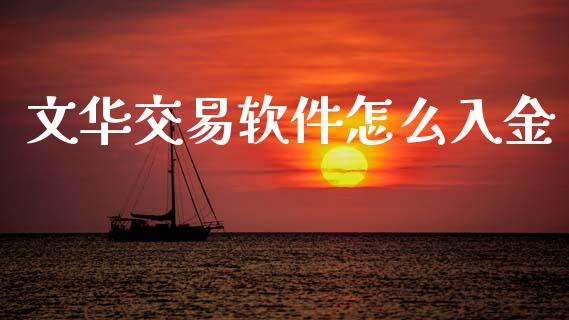 文华交易软件怎么入金_https://m.15771688.com_道指实时行情_第1张