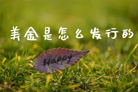 美金是怎么发行的_https://m.15771688.com_期货开户_第1张