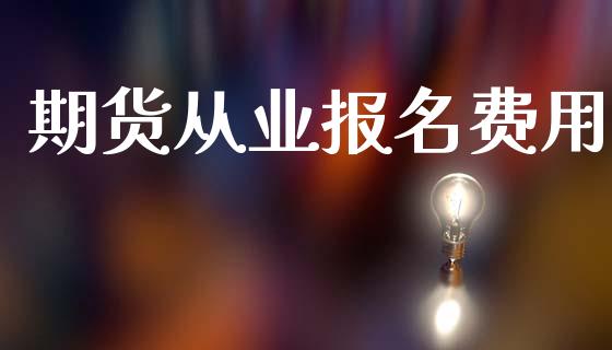 期货从业报名费用_https://m.15771688.com_美国道指_第1张