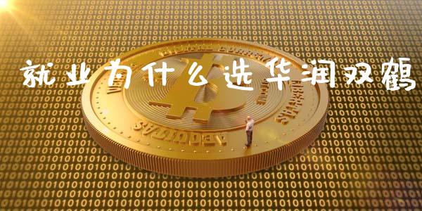 就业为什么选华润双鹤_https://m.15771688.com_期货手续费_第1张