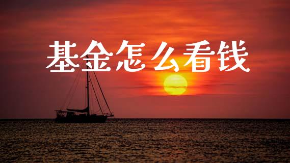 基金怎么看钱_https://m.15771688.com_期货开户_第1张