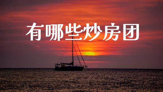 有哪些炒房团_https://m.15771688.com_期货开户_第1张