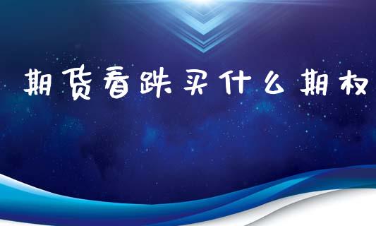 期货看跌买什么期权_https://m.15771688.com_期货开户_第1张