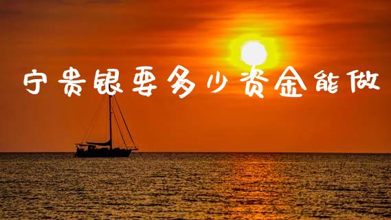 宁贵银要多少资金能做_https://m.15771688.com_期货开户_第1张