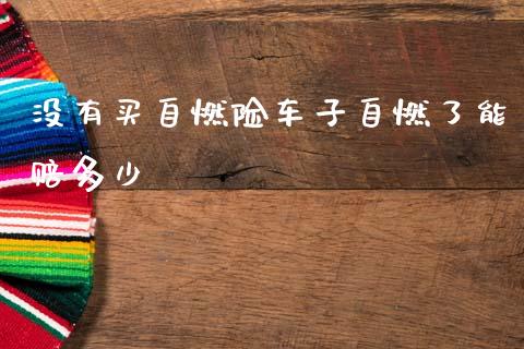 没有买自燃险车子自燃了能赔多少_https://m.15771688.com_期货手续费_第1张