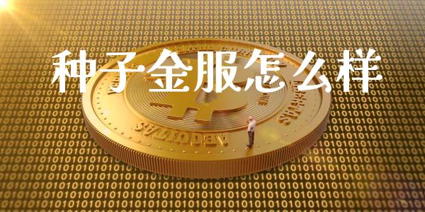 种子金服怎么样_https://m.15771688.com_道指实时行情_第1张