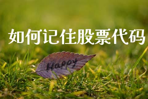如何记住股票代码_https://m.15771688.com_期货手续费_第1张