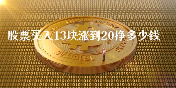 股票买入13块涨到20挣多少钱_https://m.15771688.com_道指实时行情_第1张