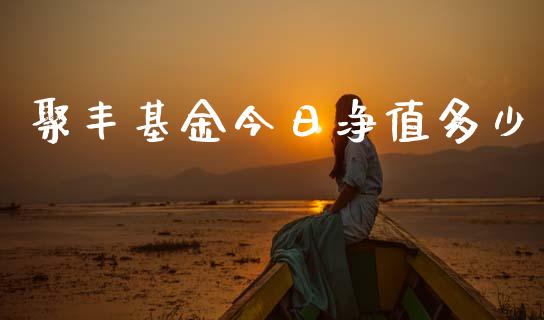 聚丰基金今日净值多少_https://m.15771688.com_美国道指_第1张