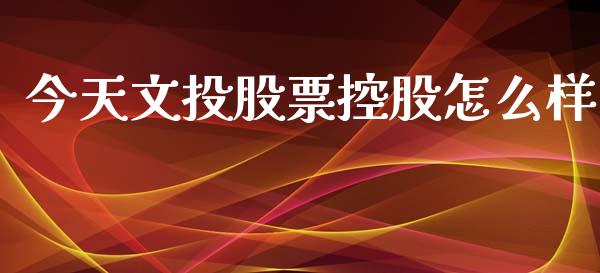今天文投股票控股怎么样_https://m.15771688.com_期货手续费_第1张