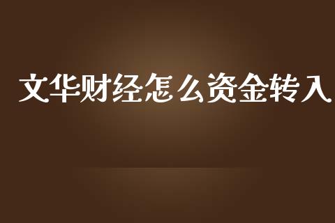 文华财经怎么资金转入_https://m.15771688.com_美国道指_第1张