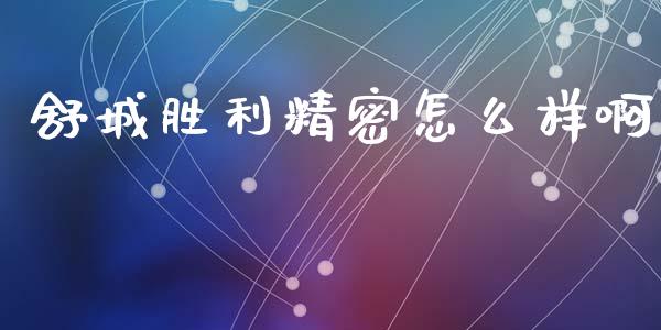 舒城胜利精密怎么样啊_https://m.15771688.com_期货手续费_第1张