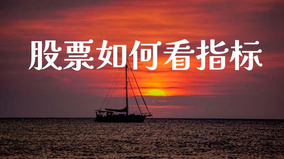 股票如何看指标_https://m.15771688.com_期货开户_第1张