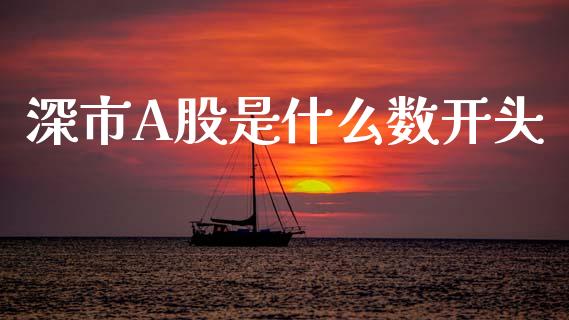 深市A股是什么数开头_https://m.15771688.com_期货手续费_第1张