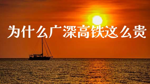 为什么广深高铁这么贵_https://m.15771688.com_期货手续费_第1张