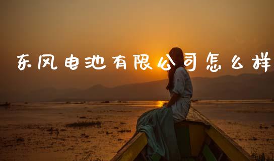 东风电池有限公司怎么样_https://m.15771688.com_道指实时行情_第1张