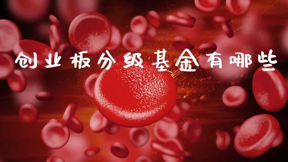 创业板分级基金有哪些_https://m.15771688.com_期货手续费_第1张