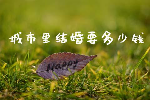 城市里结婚要多少钱_https://m.15771688.com_期货开户_第1张