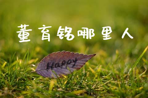 董育铭哪里人_https://m.15771688.com_期货手续费_第1张