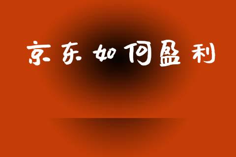 京东如何盈利_https://m.15771688.com_道指实时行情_第1张