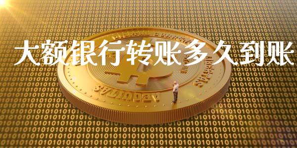 大额银行转账多久到账_https://m.15771688.com_期货手续费_第1张