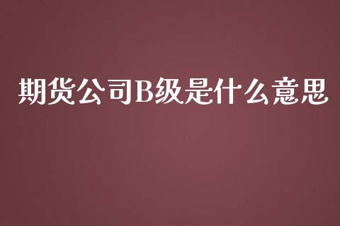 期货公司B级是什么意思_https://m.15771688.com_美国道指_第1张