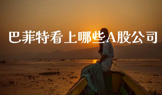 巴菲特看上哪些A股公司_https://m.15771688.com_美国道指_第1张