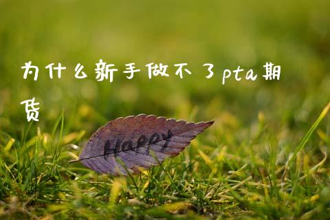 为什么新手做不了pta期货_https://m.15771688.com_道指实时行情_第1张