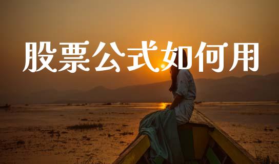 股票公式如何用_https://m.15771688.com_道指实时行情_第1张