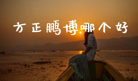 方正鹏博哪个好_https://m.15771688.com_道指实时行情_第1张