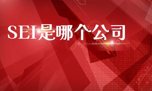 SEI是哪个公司_https://m.15771688.com_期货手续费_第1张